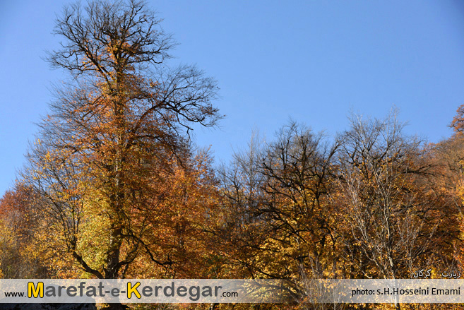 جنگل های استان گلستان جنگل های استان گلستان