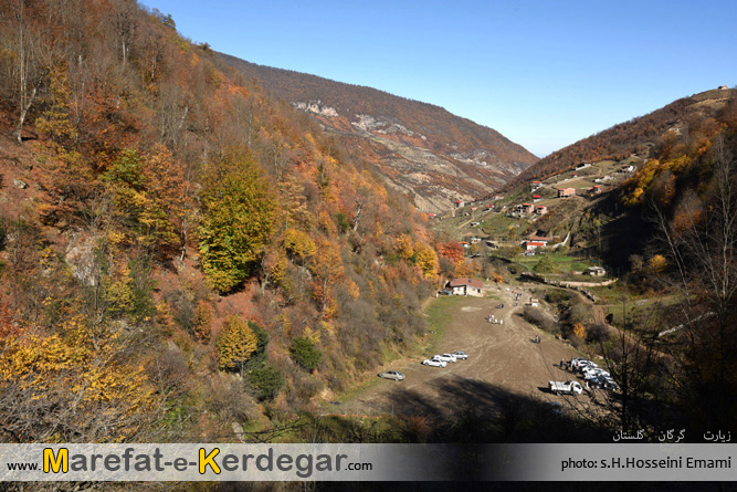 جنگل های شمال جنگل های شمال