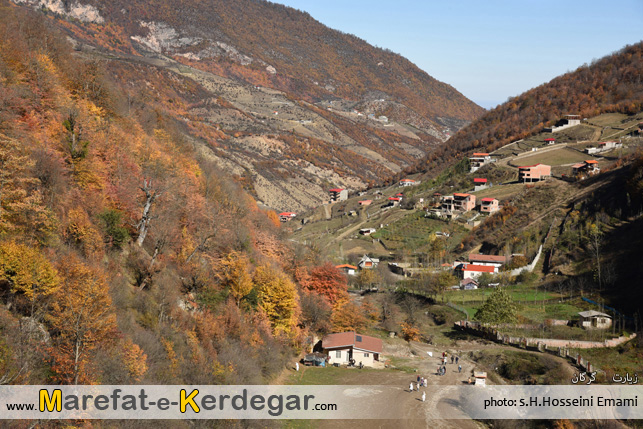 جنگل های شمال جنگل های شمال