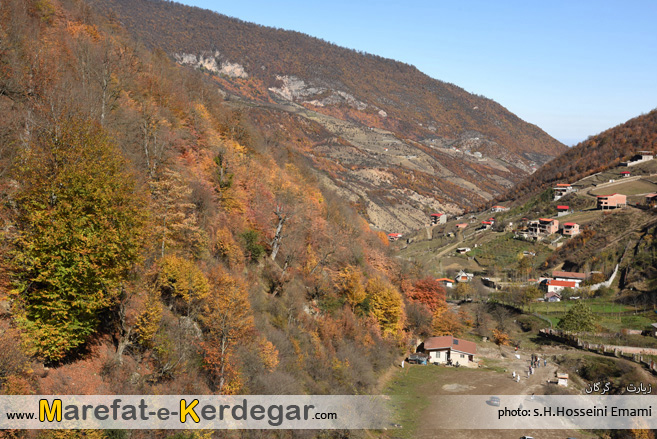 جنگل های گرگان جنگل های گرگان