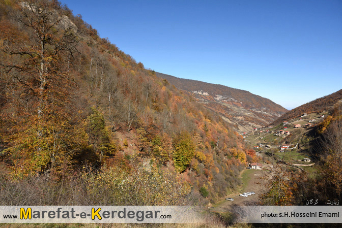 جنگل های گرگان جنگل های گرگان