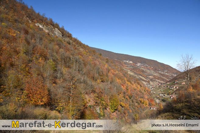 جنگل های گرگان جنگل های گرگان