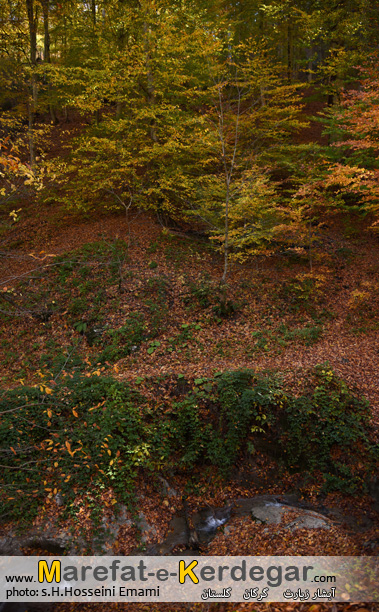 عکس های پاییز شمال ایران عکس های پاییز شمال ایران