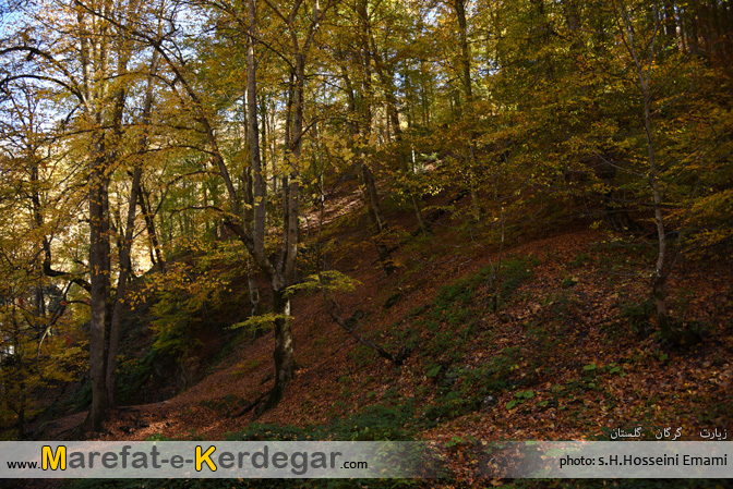 عکس های پاییز شمال ایران عکس های پاییز شمال ایران