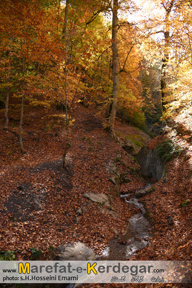 پاییز در شمال پاییز در شمال