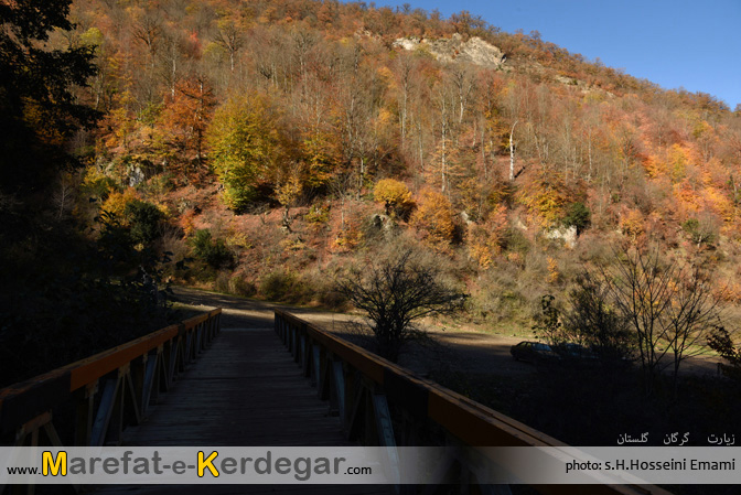 جنگل زیارت جنگل زیارت