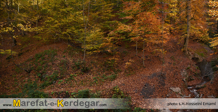 پاییز در شمال پاییز در شمال