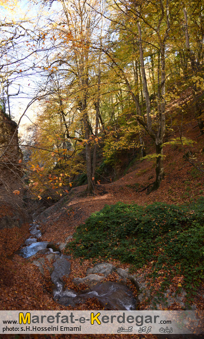 پاییز در شمال پاییز در شمال