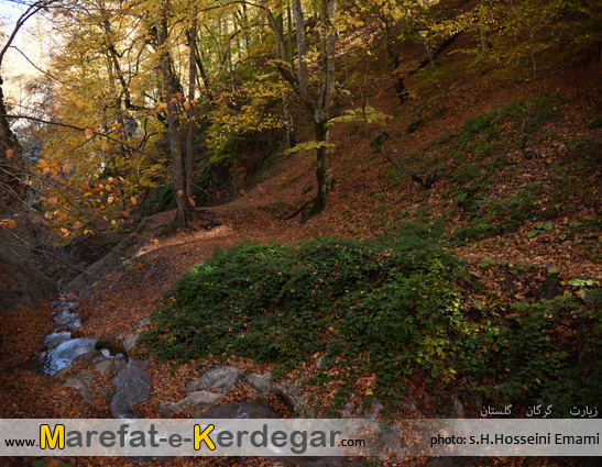 پاییز در استان گلستان پاییز در استان گلستان