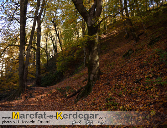 پاییز در استان گلستان پاییز در استان گلستان