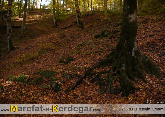 پاییز در استان گلستان پاییز در استان گلستان