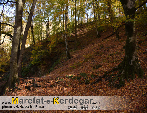 پاییز استان گلستان پاییز استان گلستان