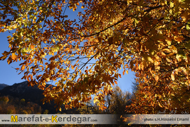 طبیعت پاییزی طبیعت پاییزی