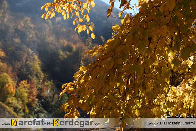 طبیعت پاییزی شمال طبیعت پاییزی شمال