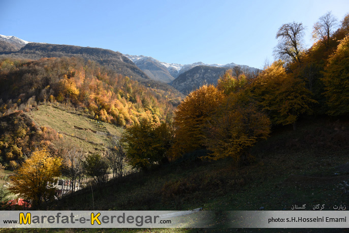 جنگل زیارت جنگل زیارت