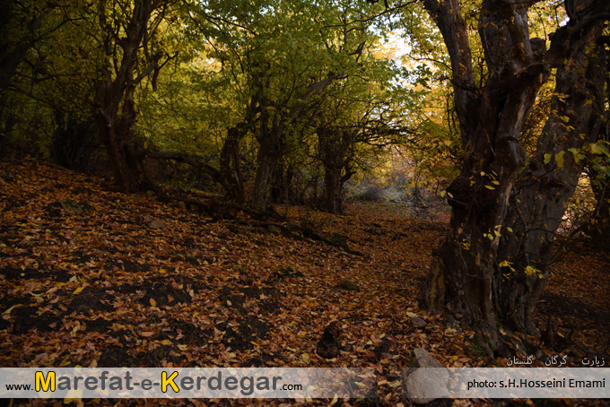 طبیعت روستای زیارت طبیعت روستای زیارت