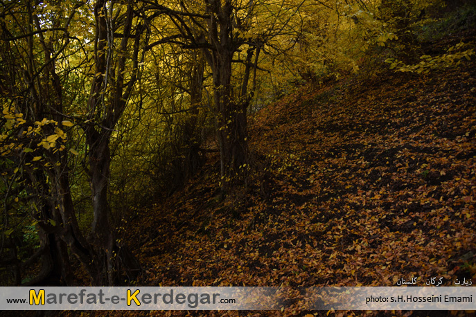 طبیعت روستای زیارت طبیعت روستای زیارت