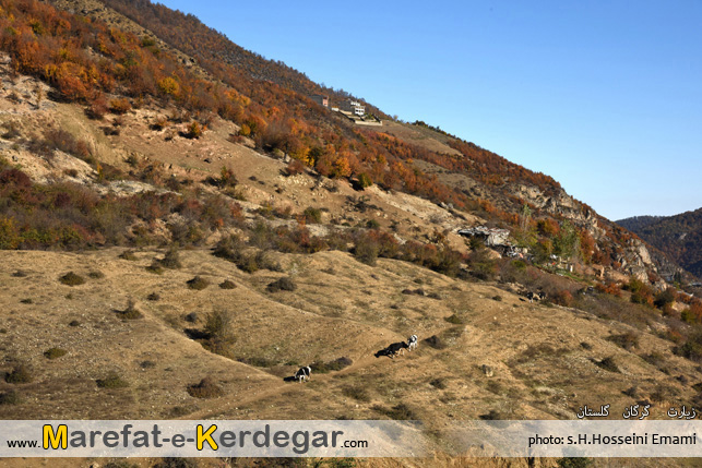 پاییز زیارت پاییز زیارت