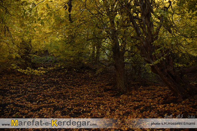 طبیعت گرگان طبیعت گرگان