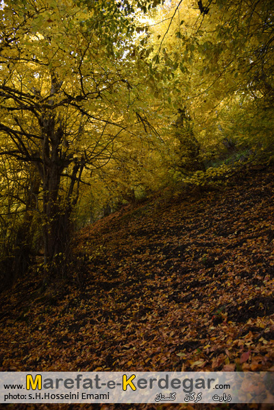 طبیعت گرگان طبیعت گرگان