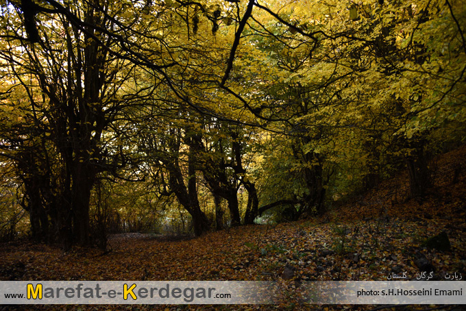 طبیعت استان گلستان طبیعت استان گلستان