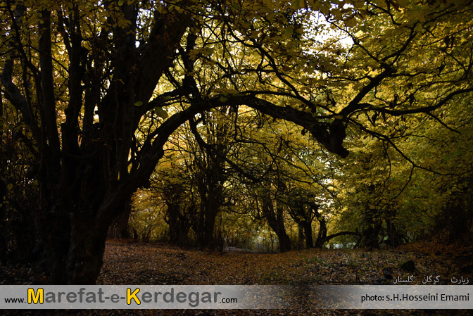 طبیعت استان گلستان طبیعت استان گلستان