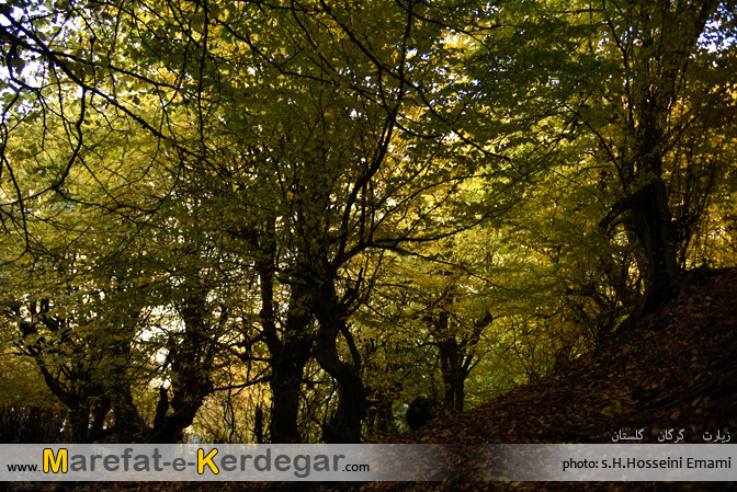 طبیعت ایران طبیعت ایران