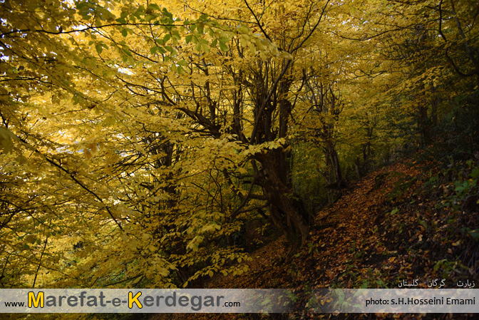 گردشگری روستای زیارت گردشگری روستای زیارت