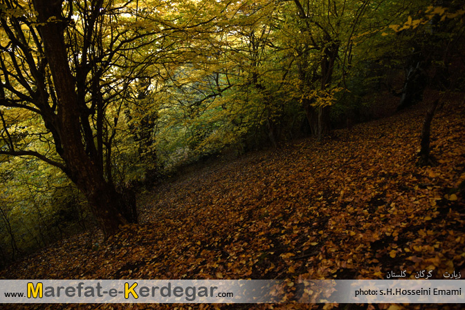 گردشگری روستای زیارت گردشگری روستای زیارت