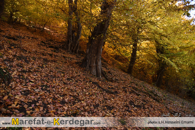 گردشگری گرگان گردشگری گرگان