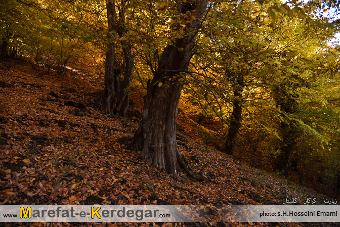 گردشگری گرگان گردشگری گرگان