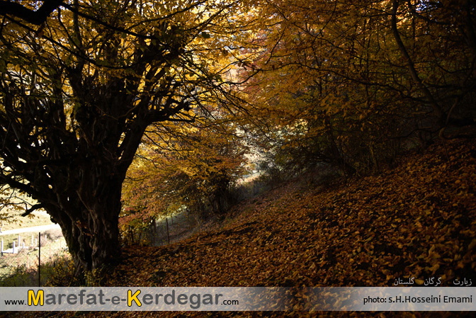گردشگری گلستان گردشگری گلستان
