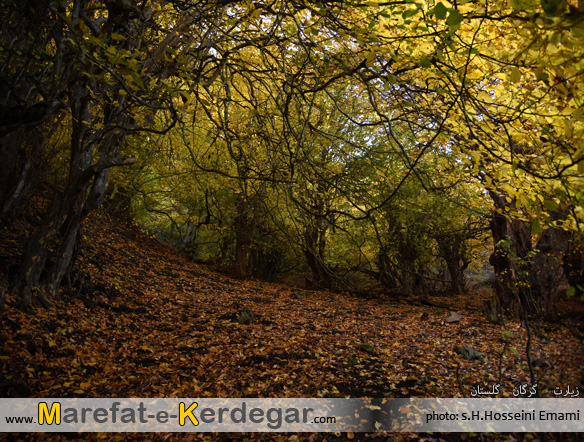 گردشگری گلستان گردشگری گلستان