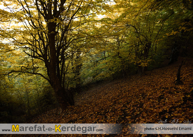 جاذبه های گردشگری استان گلستان جاذبه های گردشگری استان گلستان