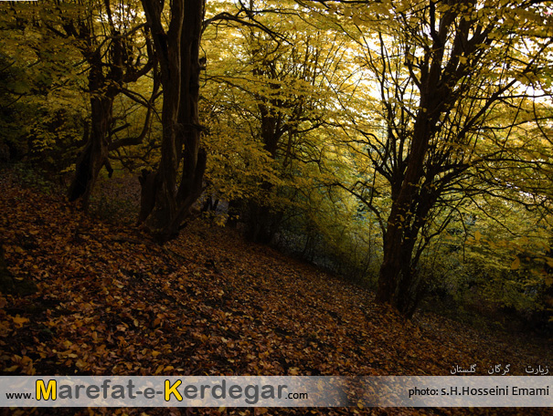 جاذبه های گردشگری استان گلستان جاذبه های گردشگری استان گلستان