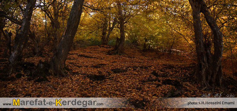جاذبه های گردشگری گلستان جاذبه های گردشگری گلستان