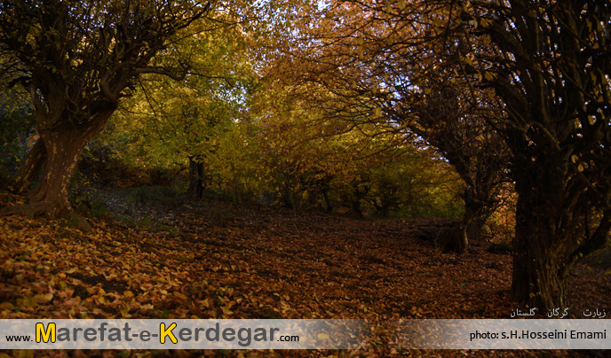 جاذبه های گردشگری گرگان جاذبه های گردشگری گرگان