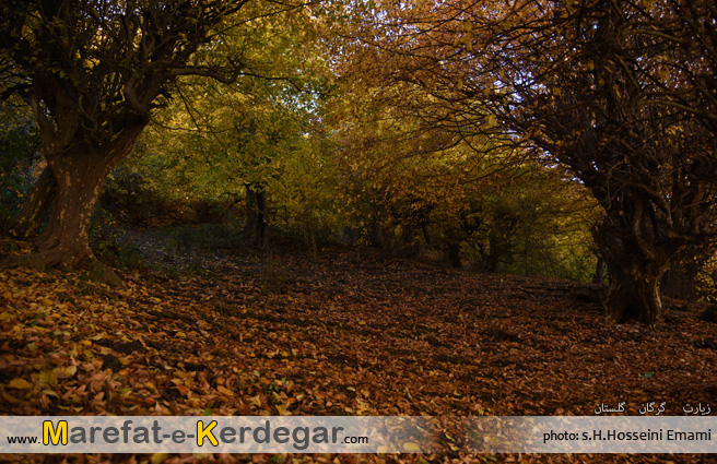 جاذبه های طبیعی گرگان جاذبه های طبیعی گرگان