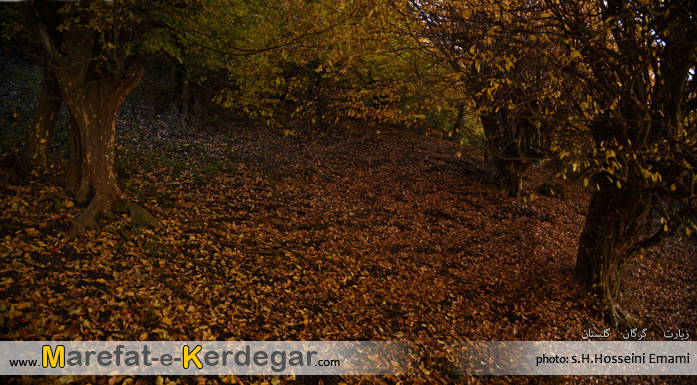 جاذبه های طبیعی گرگان جاذبه های طبیعی گرگان