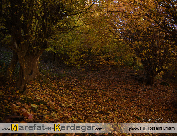 جاذبه های طبیعی گلستان جاذبه های طبیعی گلستان