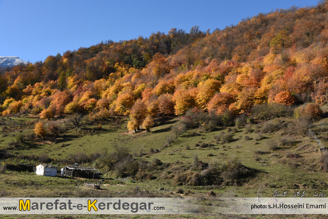 پاییز ایران پاییز ایران