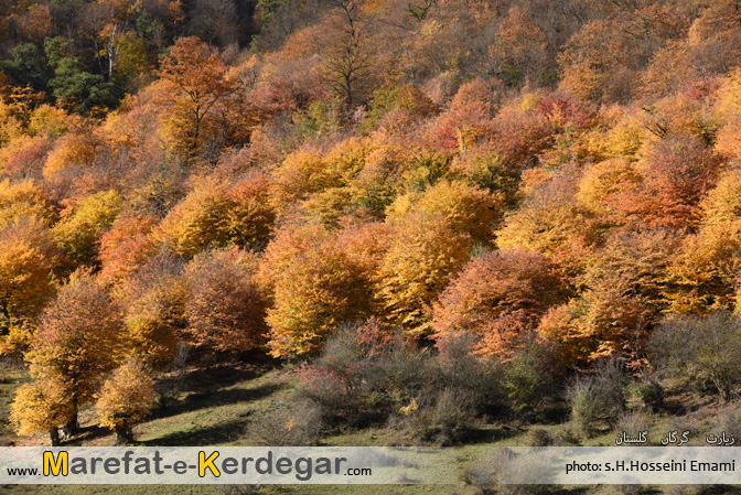 پاییز گلستان پاییز گلستان