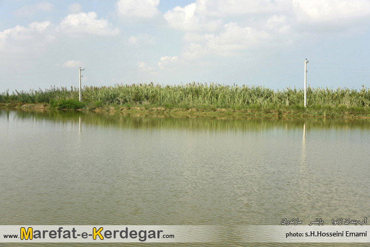 جاهای دیدنی بابلسر جاهای دیدنی بابلسر