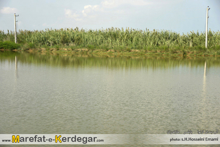 جاهای دیدنی بابلسر جاهای دیدنی بابلسر