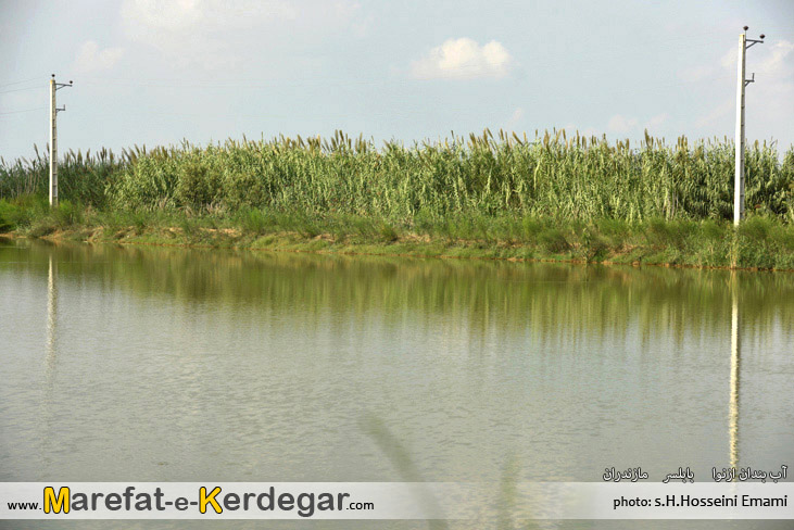 عکاسی از بابلسر عکاسی از بابلسر