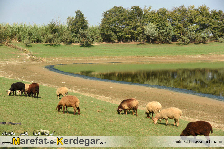 آب بندان های بابلسر آب بندان های بابلسر