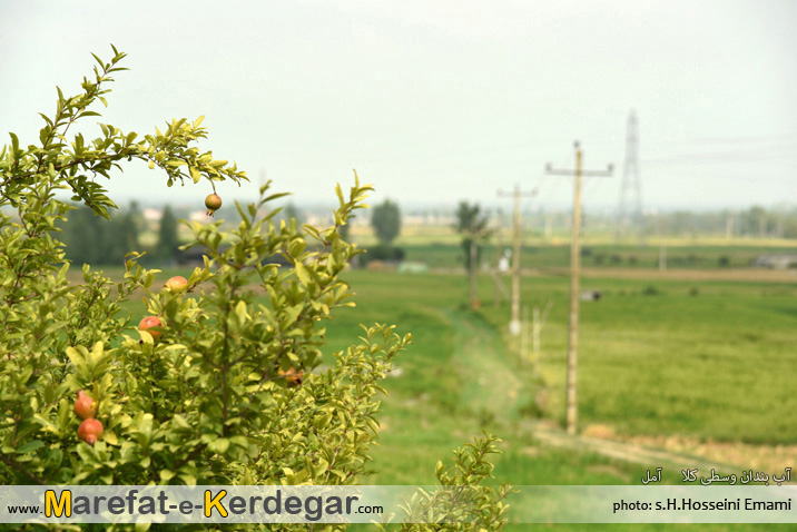 روستای وسطی کلا روستای وسطی کلا