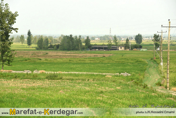 روستای وسطی کلا آمل روستای وسطی کلا آمل