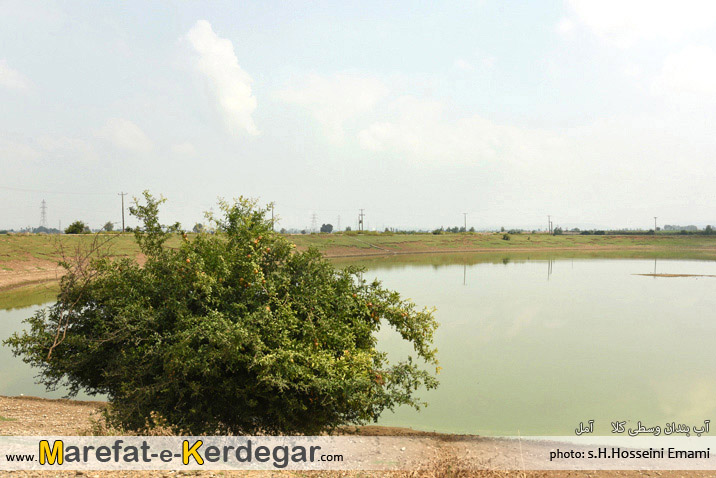 آب بندان های آمل آب بندان های آمل