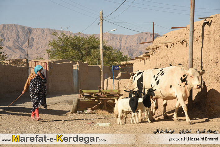 مردم اسفراین مردم اسفراین